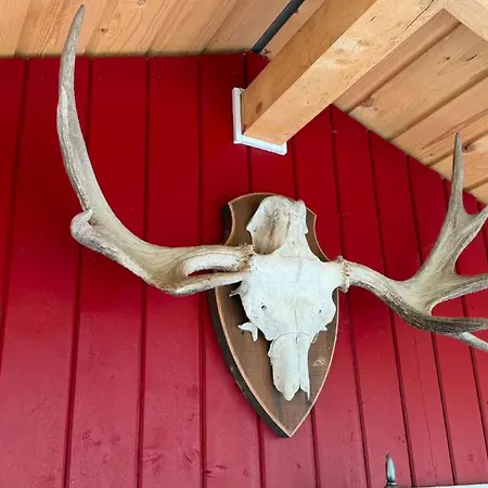 Campsite Sjarmerende Campinghytte I Skogen